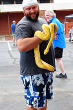 man from B and E Reptiles holding an albino (yellow) python